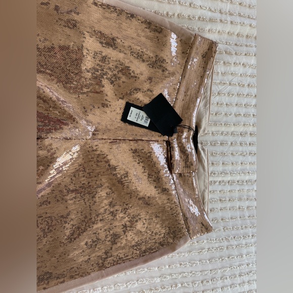 Rachel Zoe Sequin Glitter Lined Pants- Champagne color. Size M 8-10 fits long - Picture 3 of 5